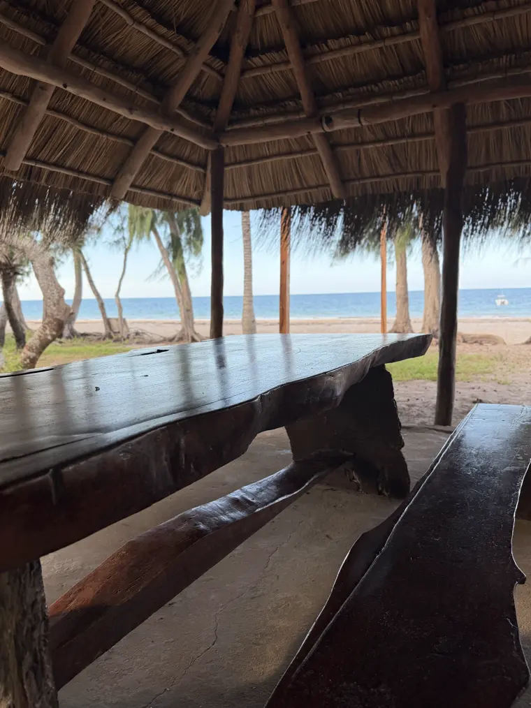 Benches at the bar above the sand