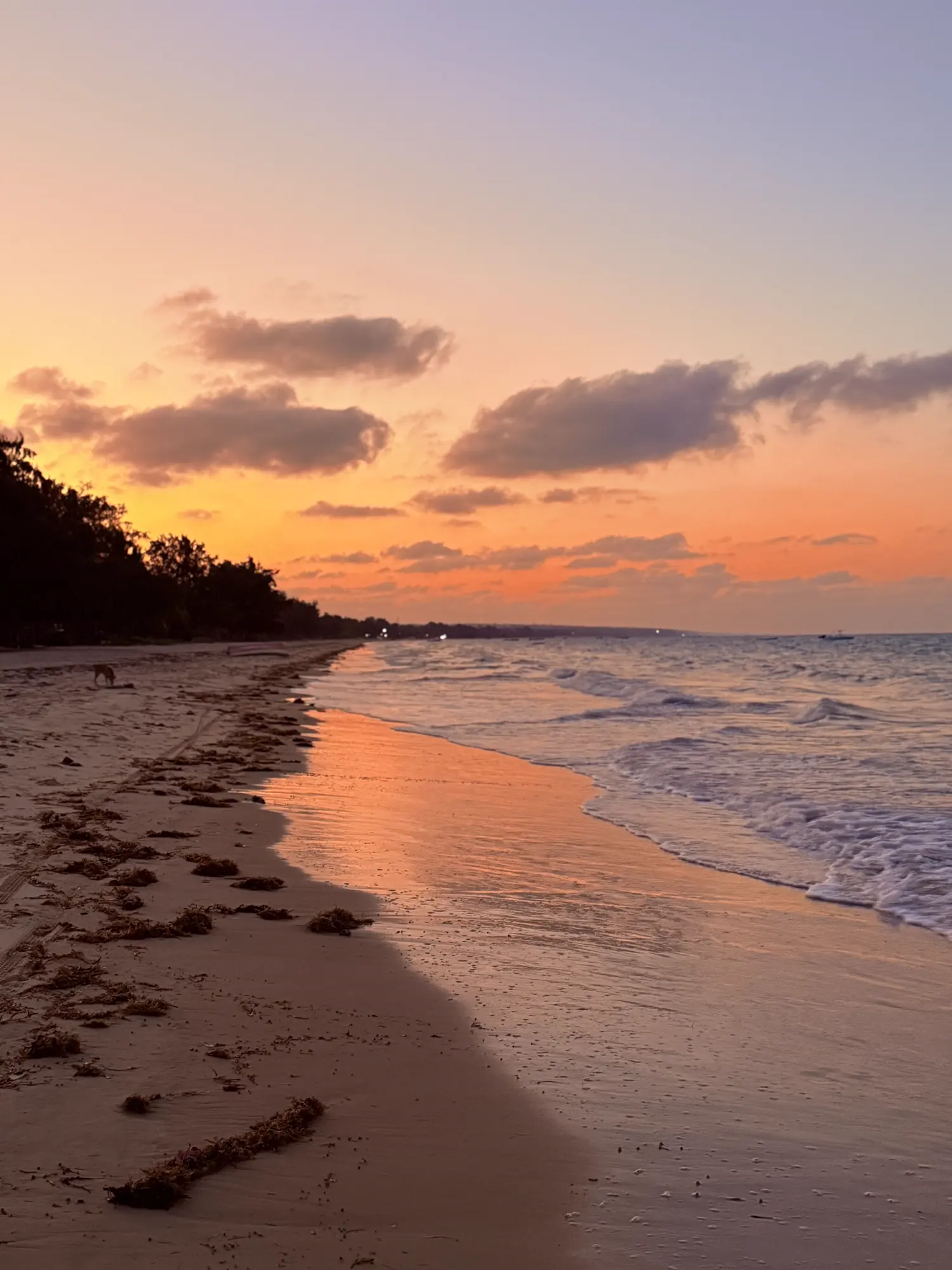 The beach at sunset, waves washing gold