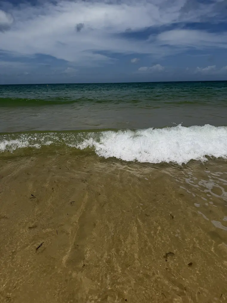 A small wave rolling onto the sand