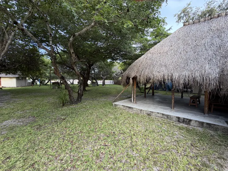 The thatch lapa on Stand One