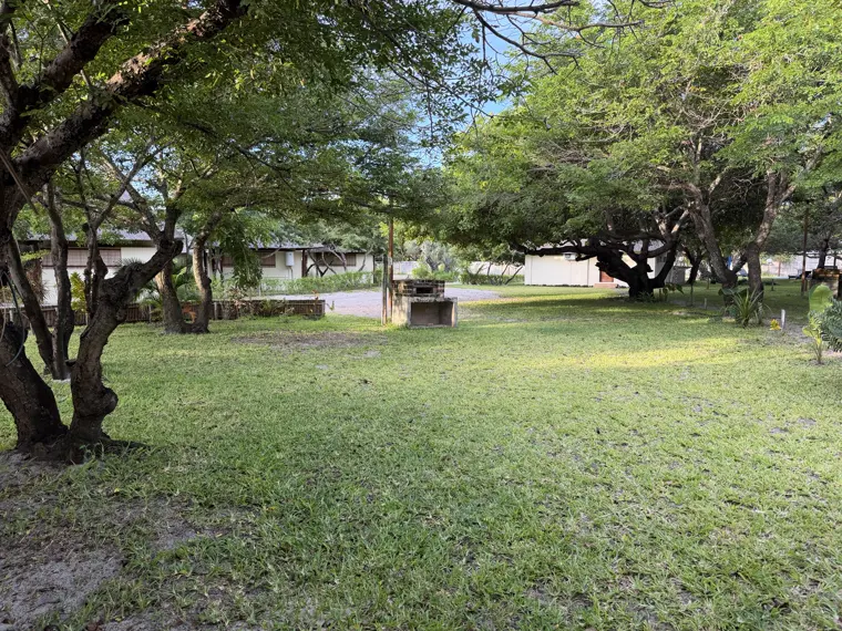 Stand One's lawn beneath the trees