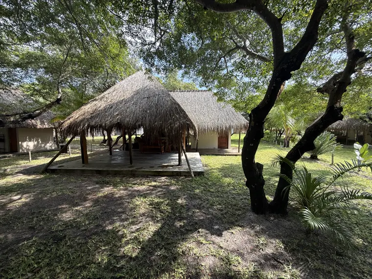 The small thatch shelter on Stand One