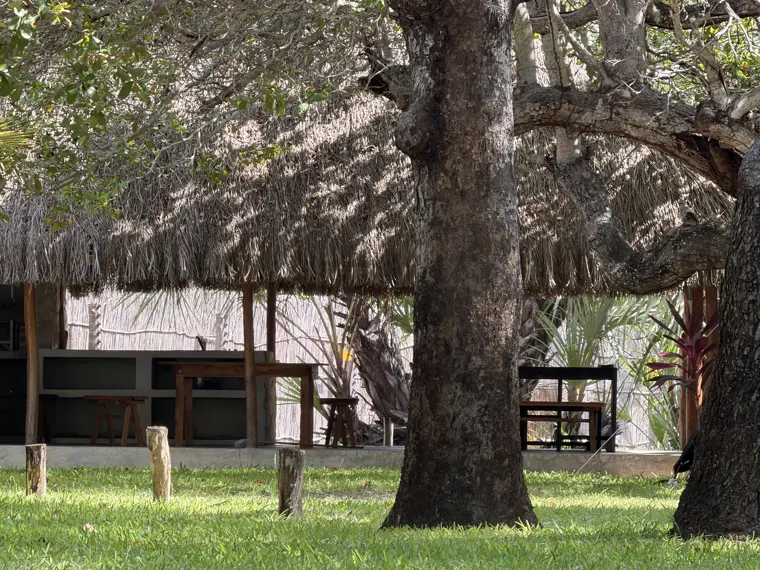 Stand Three's lapa among the trees