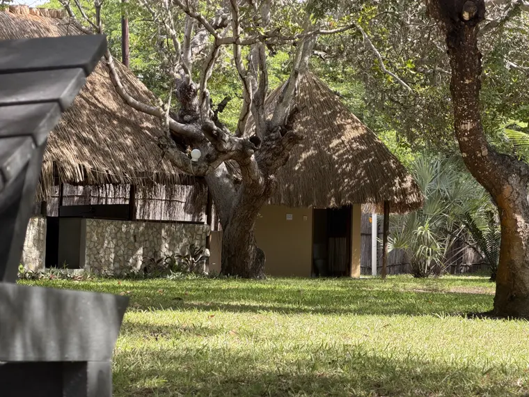 The thatch shelter on Stand Four