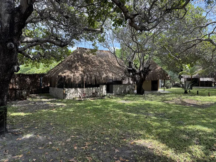 Stand Four's shelters under the big trees