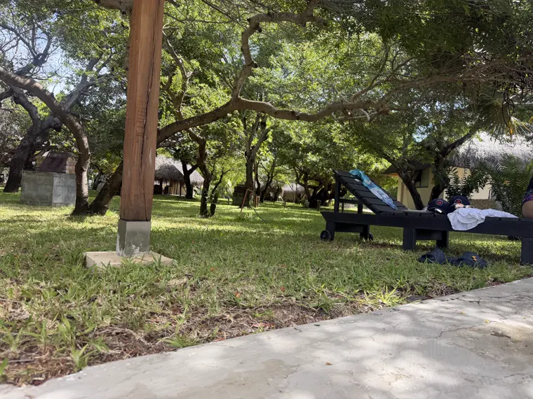 Loungers in the shade near the pool