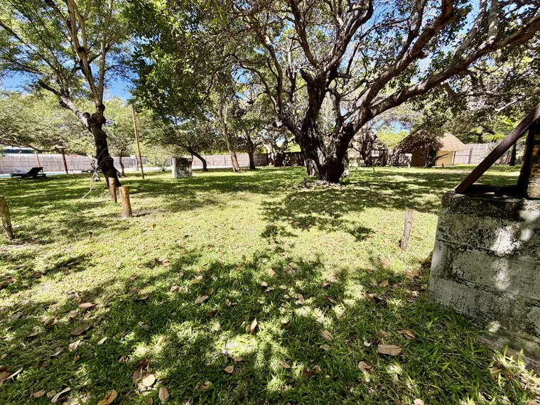 The camp grounds under the trees