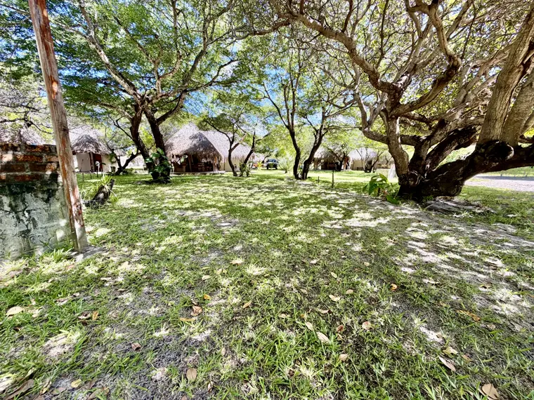 Shade across the camp lawns