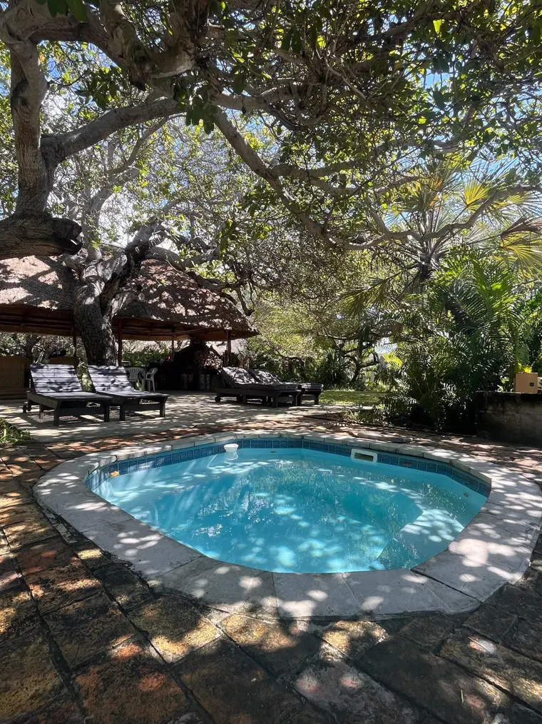 The plunge pool in the casa gardens