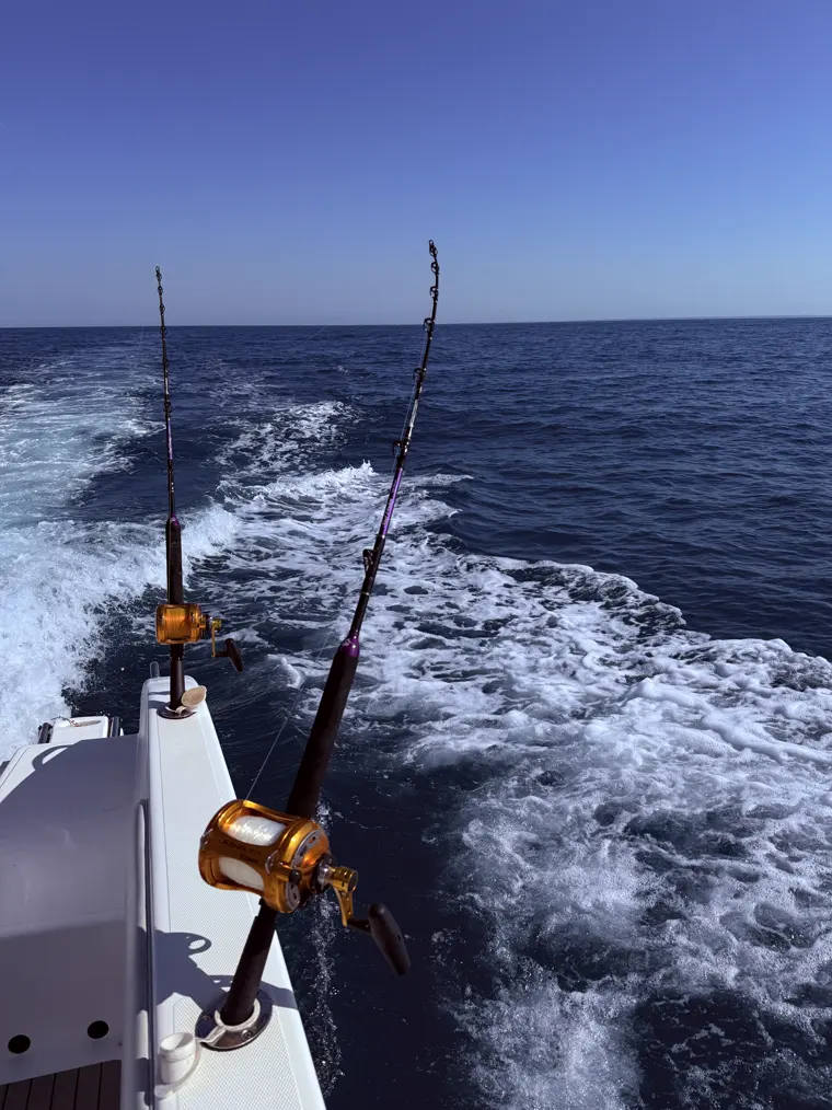 Lines out over the wake