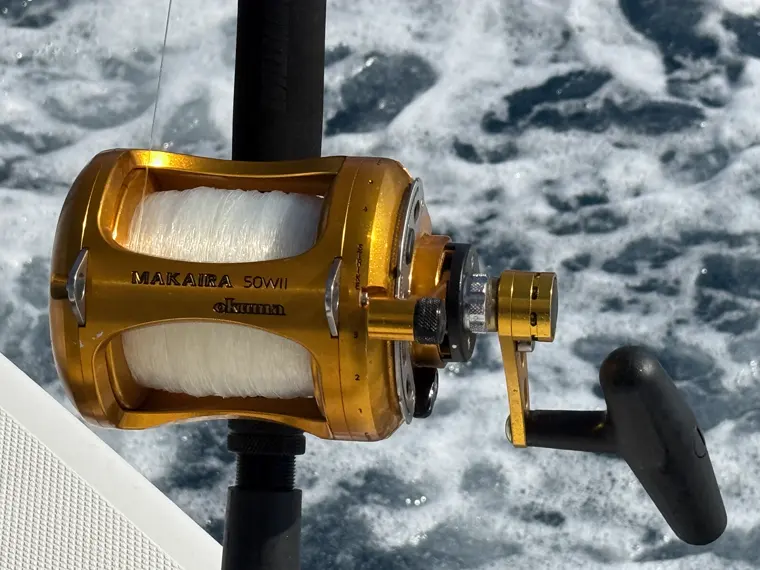 A gold reel against the spray