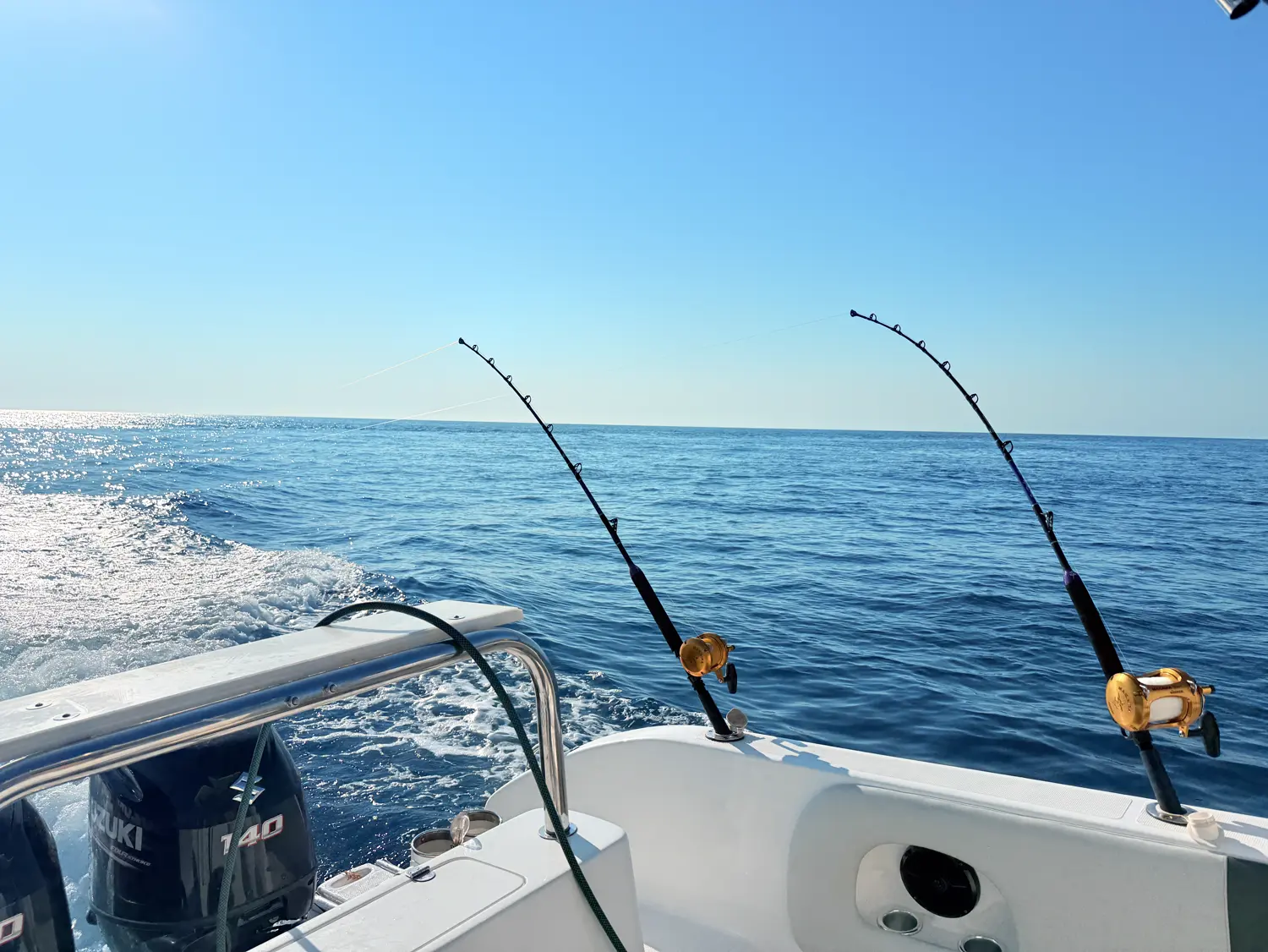 Rods set over deep blue water off Inhassoro