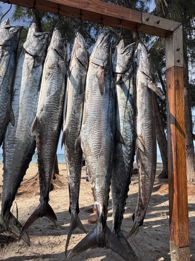 The day's catch hanging at the rack