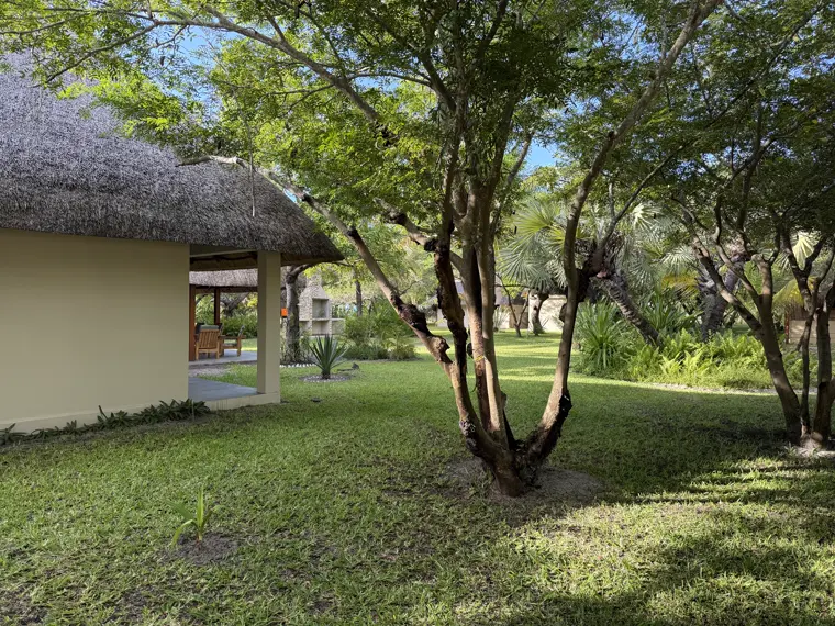 Thatch and shade in the gardens
