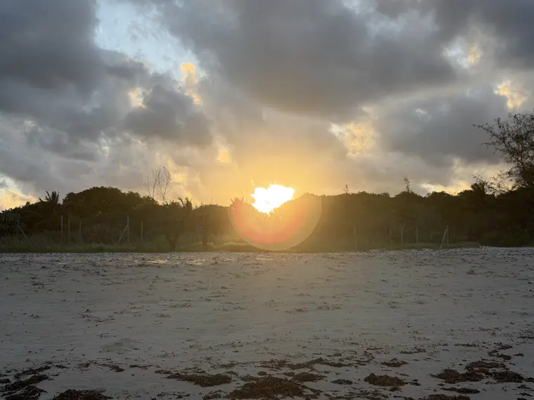 The sun dropping behind the trees