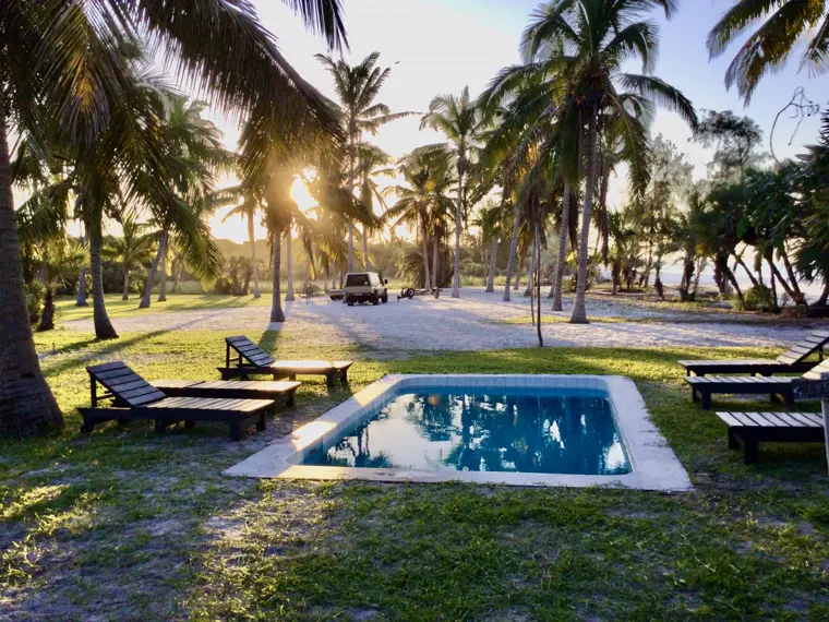 The pool at golden hour, sea beyond the palms