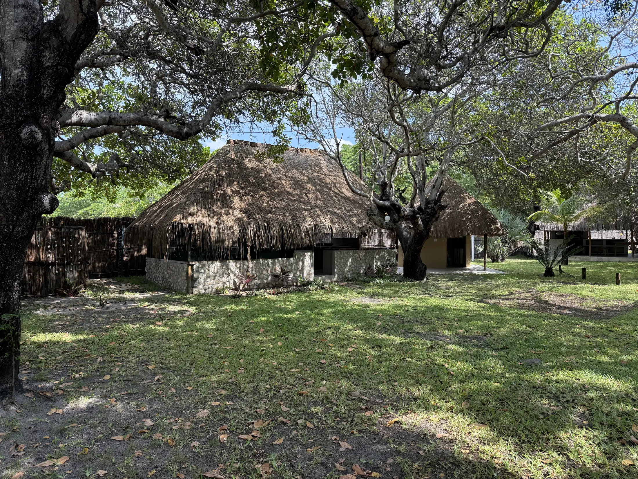 Thatched camp shelters beneath the big trees at Bon Espoir