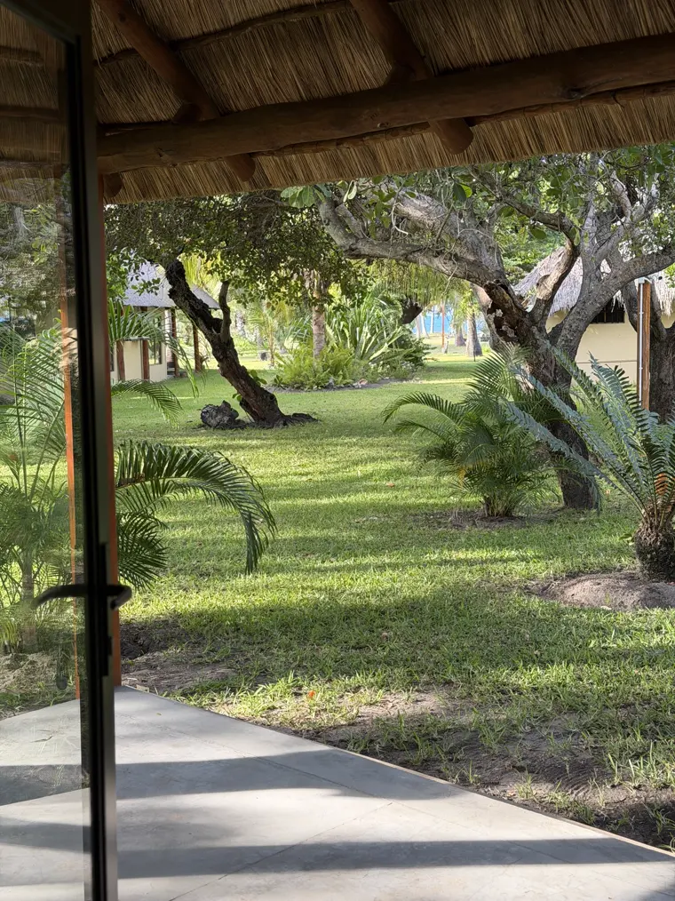 Shaded gardens beside the lodge